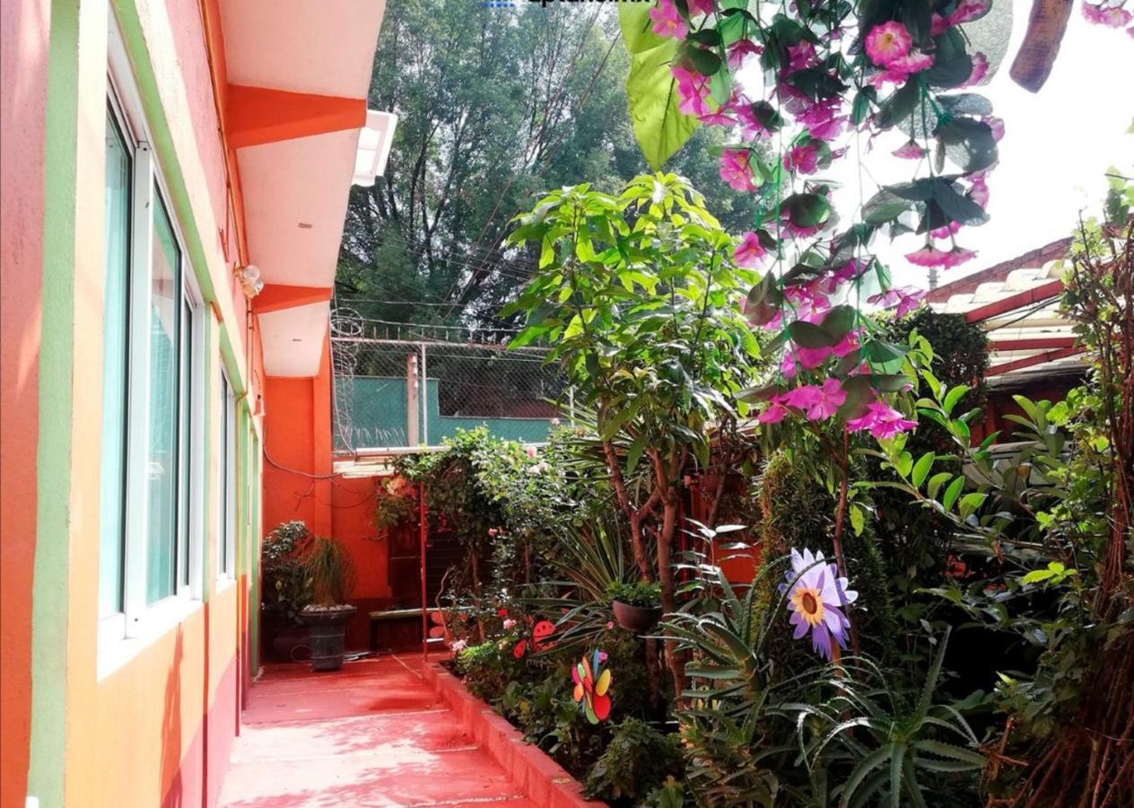 Hermoso Depa De 3 Recamaras Y 2 Banos En El Centro De Coyoacan Apartamento Cidade do México Exterior foto