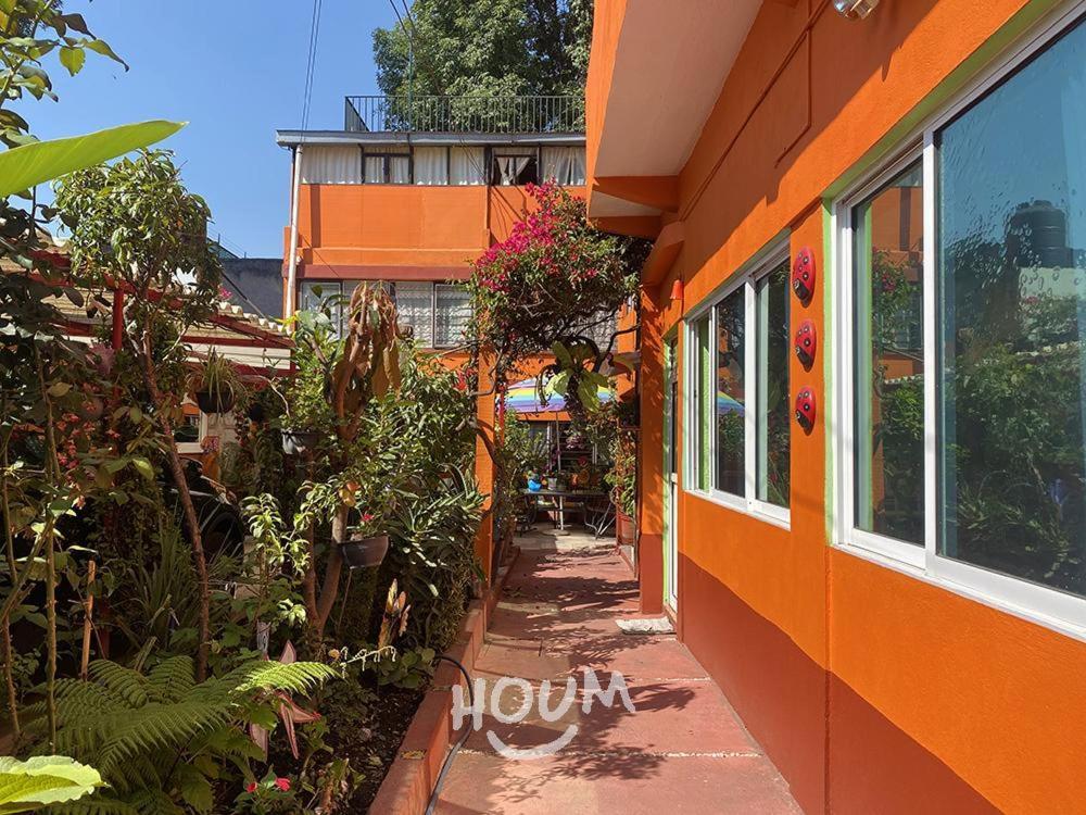 Hermoso Depa De 3 Recamaras Y 2 Banos En El Centro De Coyoacan Apartamento Cidade do México Exterior foto