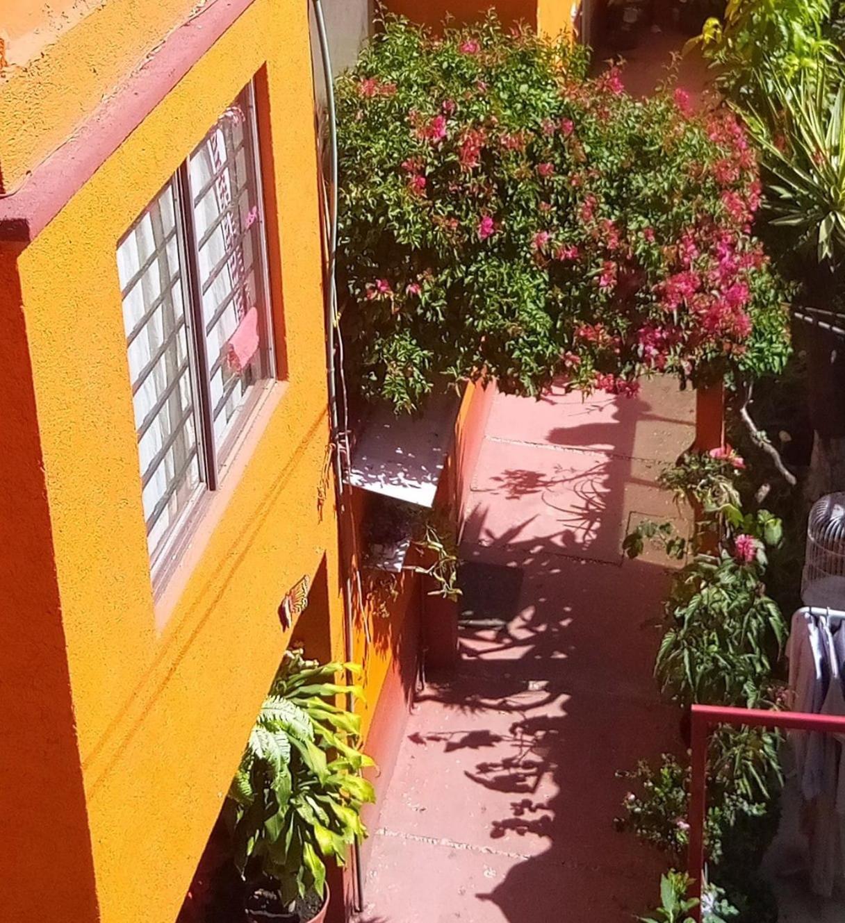 Hermoso Depa De 3 Recamaras Y 2 Banos En El Centro De Coyoacan Apartamento Cidade do México Exterior foto